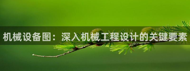 九游会中国入口
