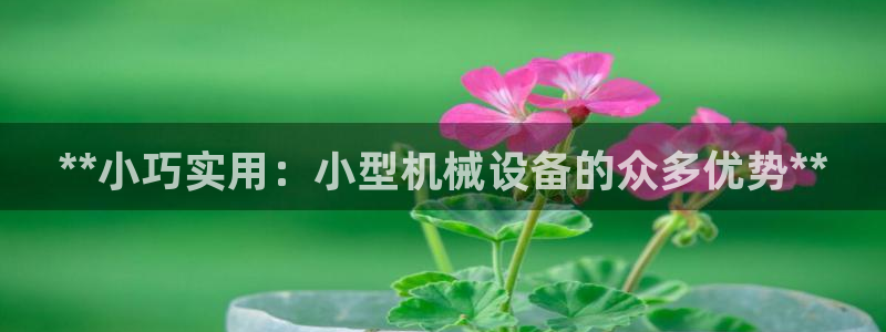 九游j9国际站官方网站
