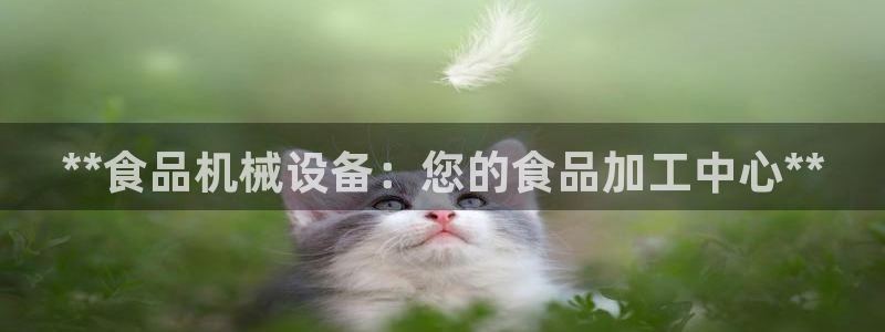 九游会官网入口