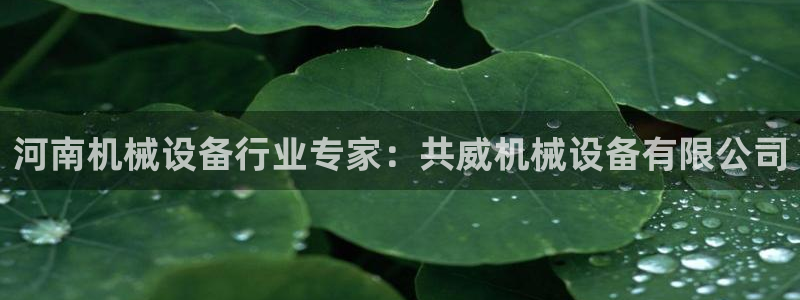 九游会 网址