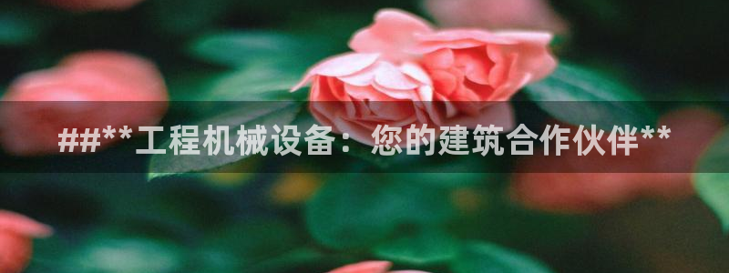 j9九游会