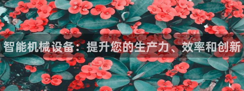 九游会登录网址多少
