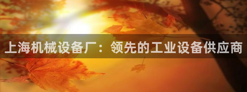 九游j9国际站