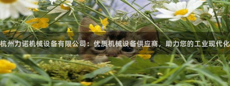 九游会官网下载最新版