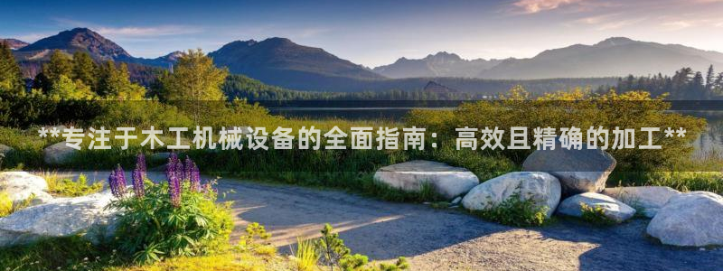 j9九游会直营