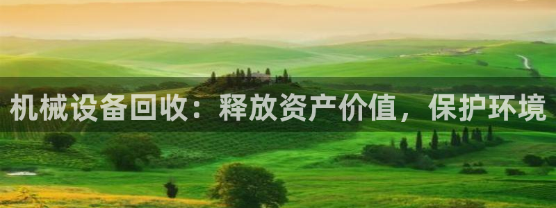 九游会ag真人官网