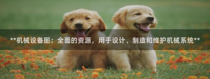 九游会老哥俱乐部官网