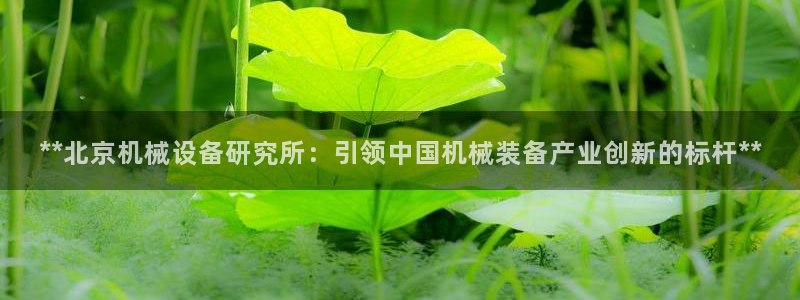 九游会老哥必备的交流社区九