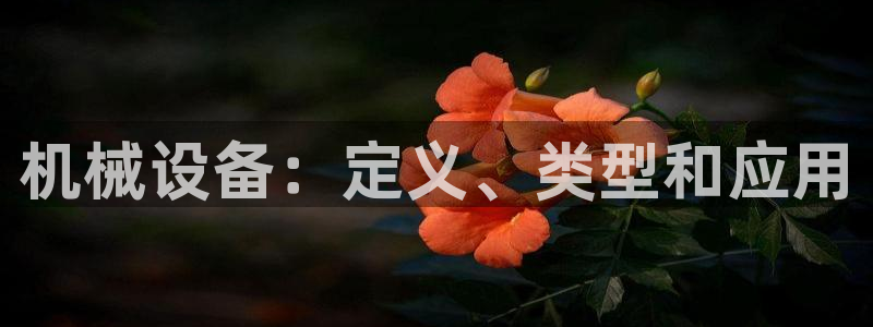 九游会官网真人认证吗