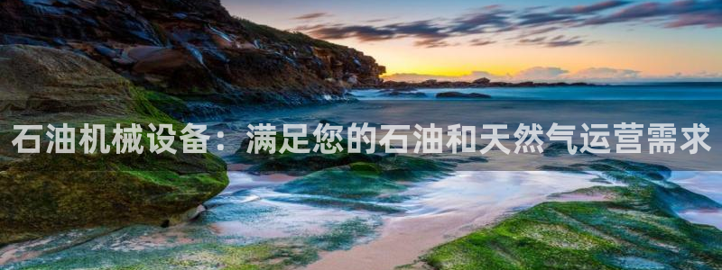 九游会集团货币