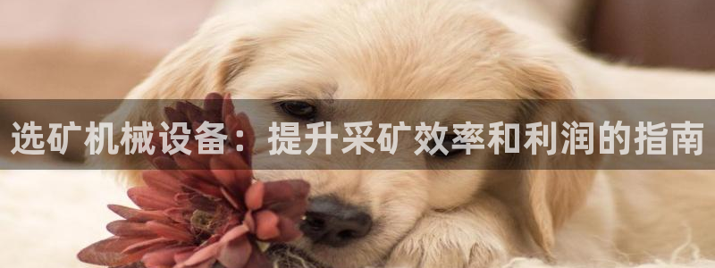 九游会亚洲第一