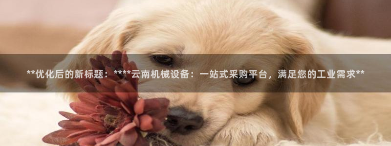 九游会官网真人认证吗