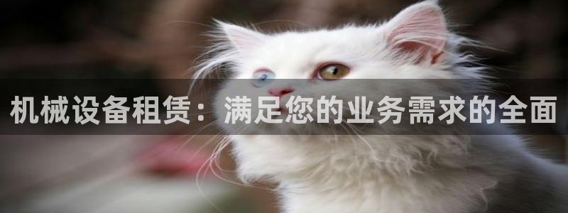 9游会老哥