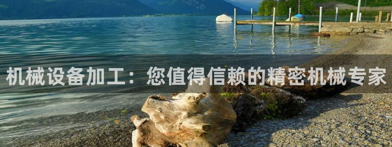 九游会agj9