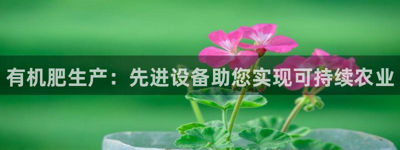 J9九游会试玩入口