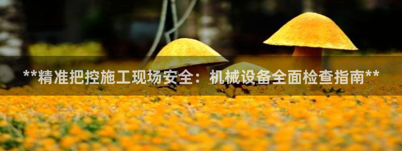 J9九游会网站
