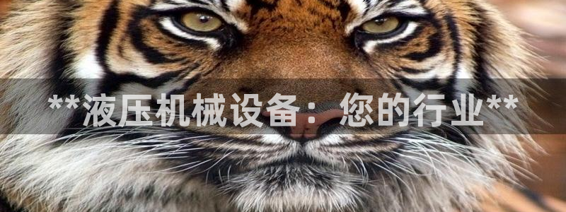 九游会直营
