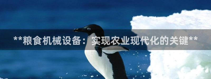 ag8亚洲九游会