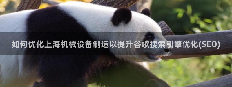 九游会官网入口ag亚洲