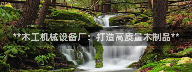 九游会官网入口首页