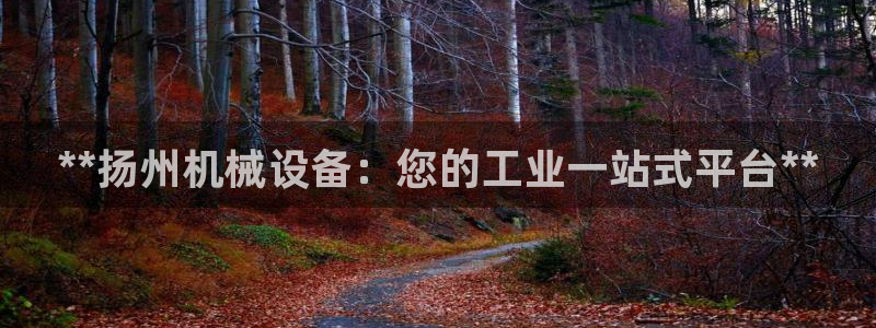 j9九游会平台信誉怎么样