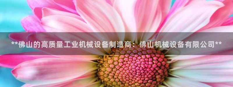 九游会官网网址是多少