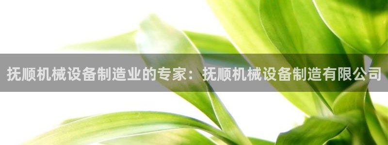 j9九游会网址是什么