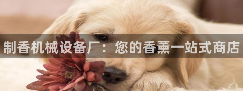 九游会视讯,九游会视讯厅