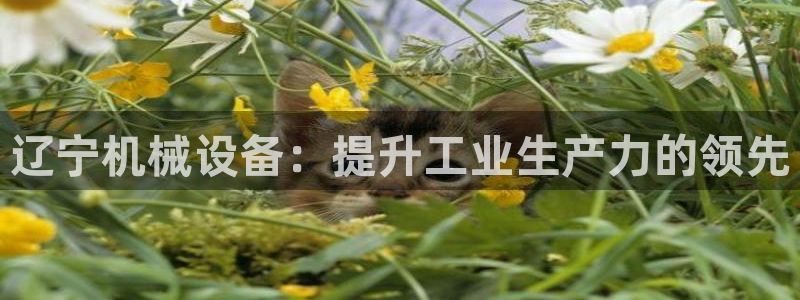 九游会最新线路
