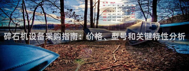 九游会网址是什么情况