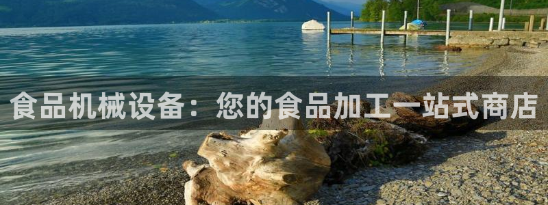 九游会中国j9
