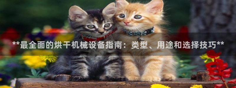 j9官网平台