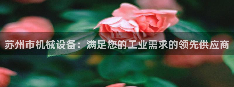 九游会官网真人认证吗知乎