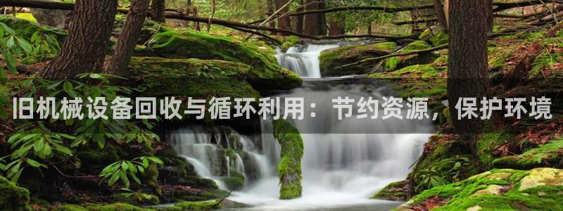 ag九游会官网网址