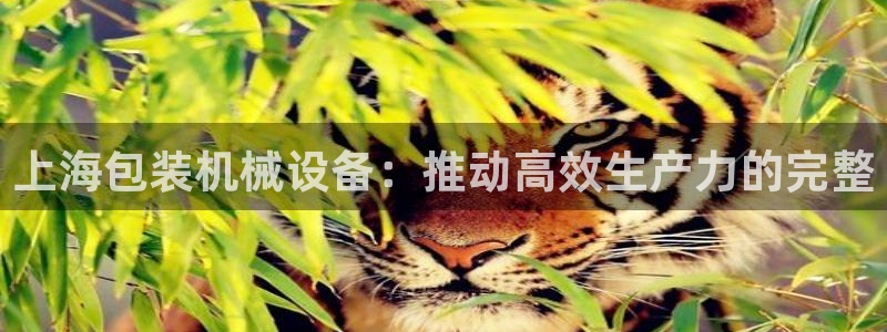 J9九游会旧版