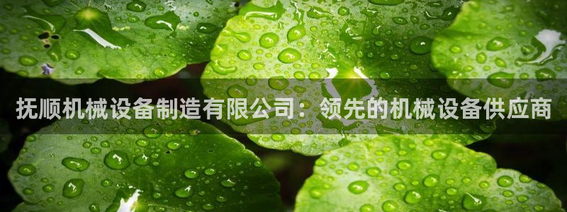 九游会agj9