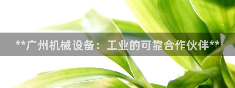 九游会网址多少