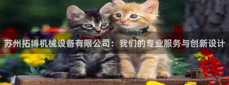 j9九游会首页入口试