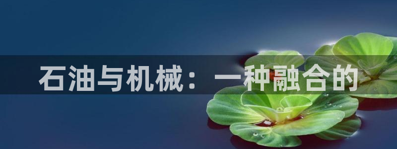 九游会登陆网址