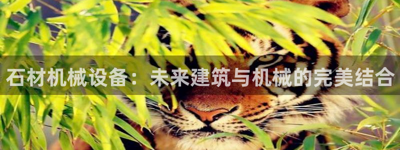 九游会平台登入