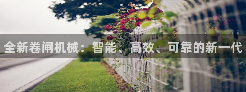 九游会是什么组织