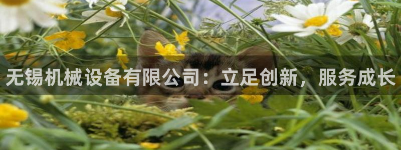 j9九游会app官网下载