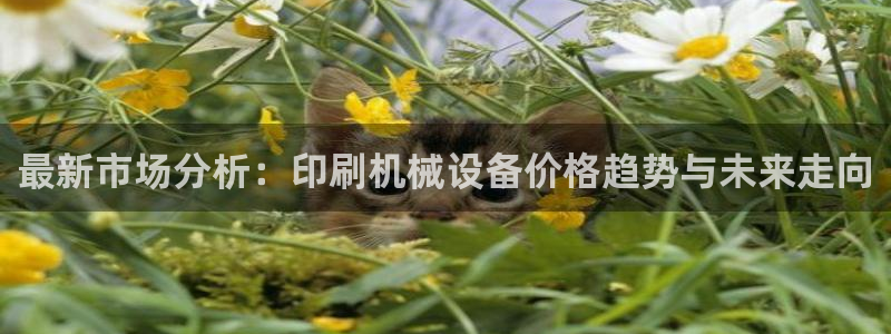 9游会老哥